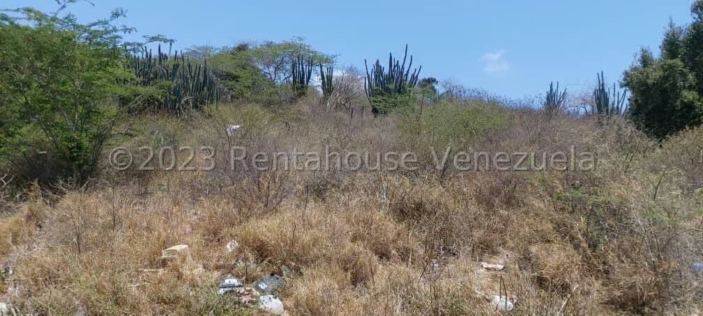 Terreno (Industrial) en Venta en Los Robles, Nueva Esparta - 6