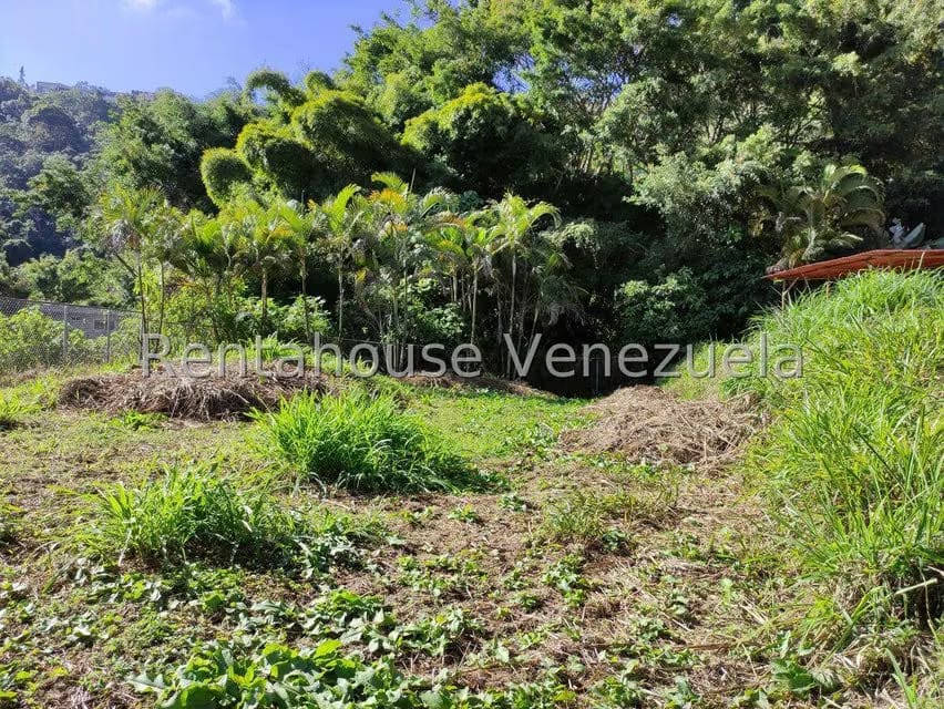 Terreno (Residencial) en Venta en La Suiza, Miranda - 8