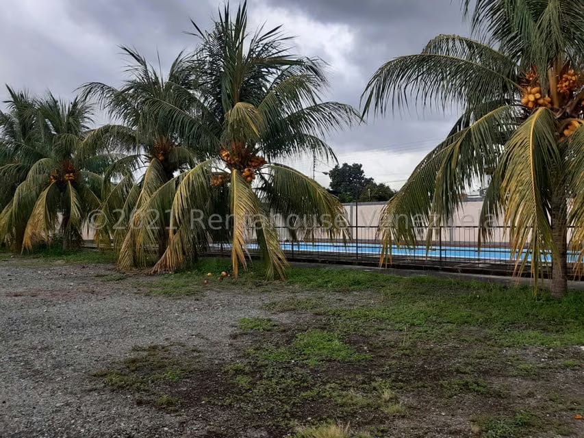 Terreno (Comercial) en Alquiler en Centro Palo Negro, Aragua - 29