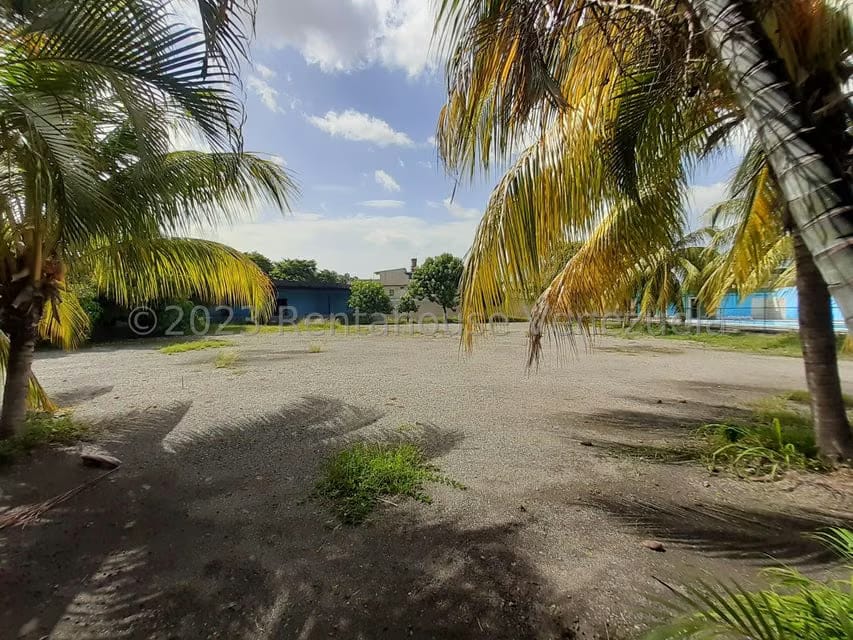 Terreno (Comercial) en Alquiler en Centro Palo Negro, Aragua - 43