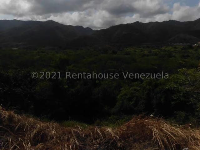 Terreno (Residencial) en Venta en Vega Arriba, Miranda - 5