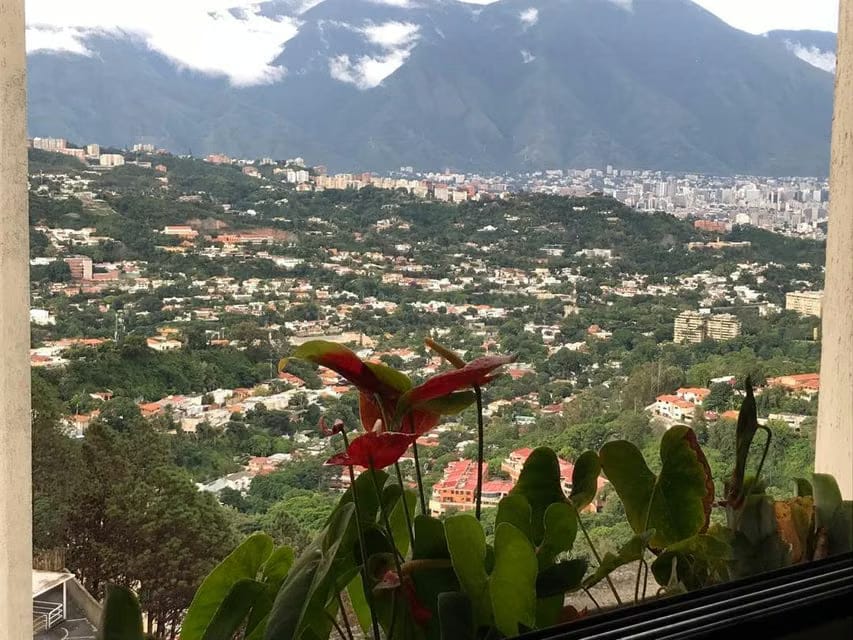 Apartamento (1 Nivel) en Venta en Lomas de Prados del Este, Distrito Metropolitano - 8