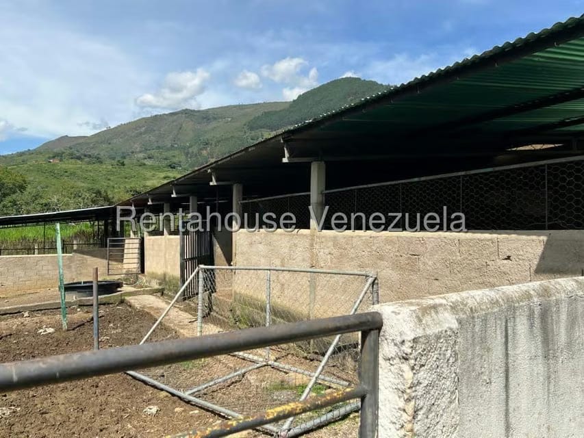 Terreno (Comercial) en Venta en Municipio Moran, Lara - 12