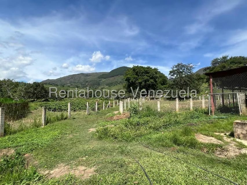 Terreno (Comercial) en Venta en Municipio Moran, Lara - 14