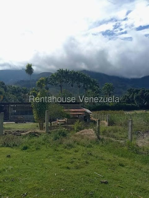 Terreno (Comercial) en Venta en Municipio Moran, Lara - 15