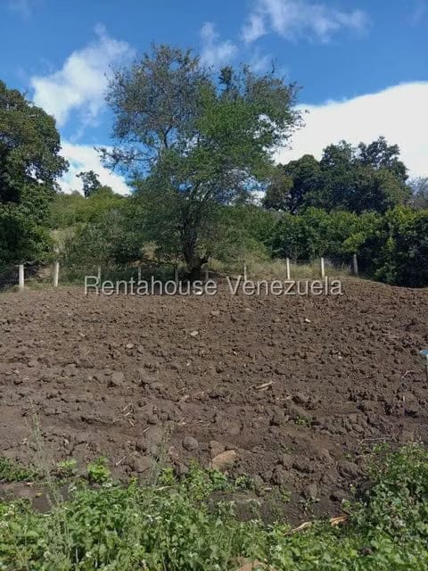Terreno (Comercial) en Venta en Municipio Moran, Lara - 17