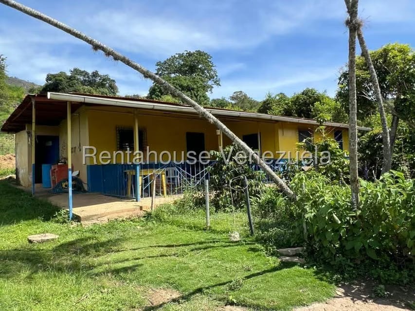 Terreno (Comercial) en Venta en Municipio Moran, Lara - 9
