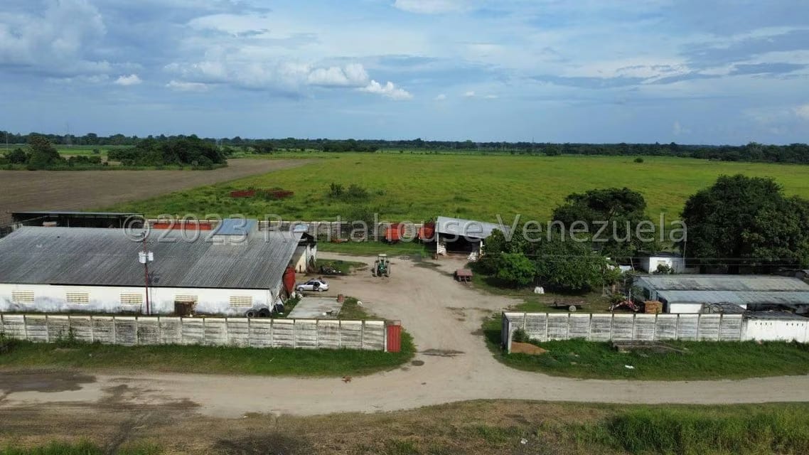 Terreno (Finca) en Venta en Araure, Portuguesa - 14