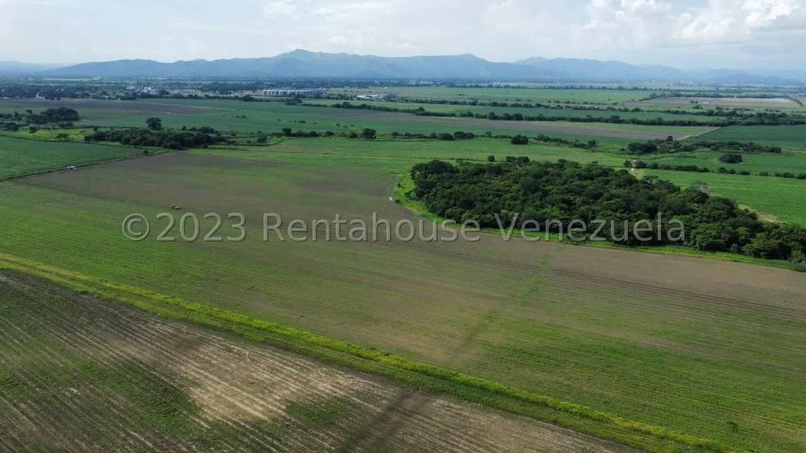 Terreno (Finca) en Venta en Araure, Portuguesa - 18