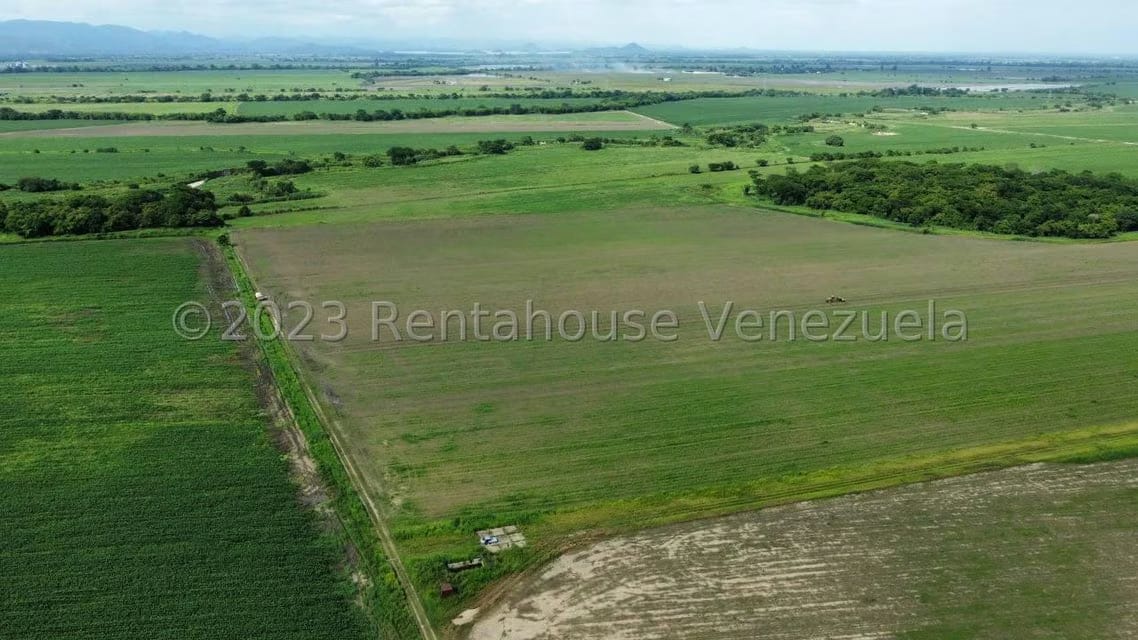 Terreno (Finca) en Venta en Araure, Portuguesa - 4