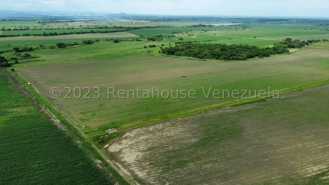 Terreno (Finca) en Venta en Araure, Portuguesa - 5