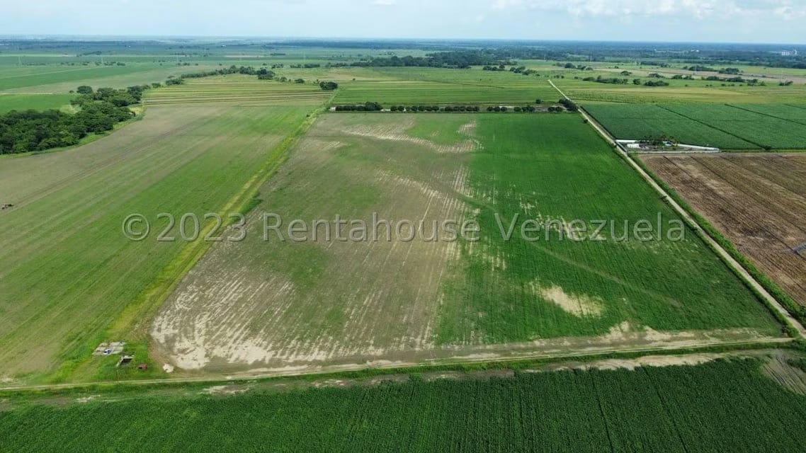 Terreno (Finca) en Venta en Araure, Portuguesa - 8
