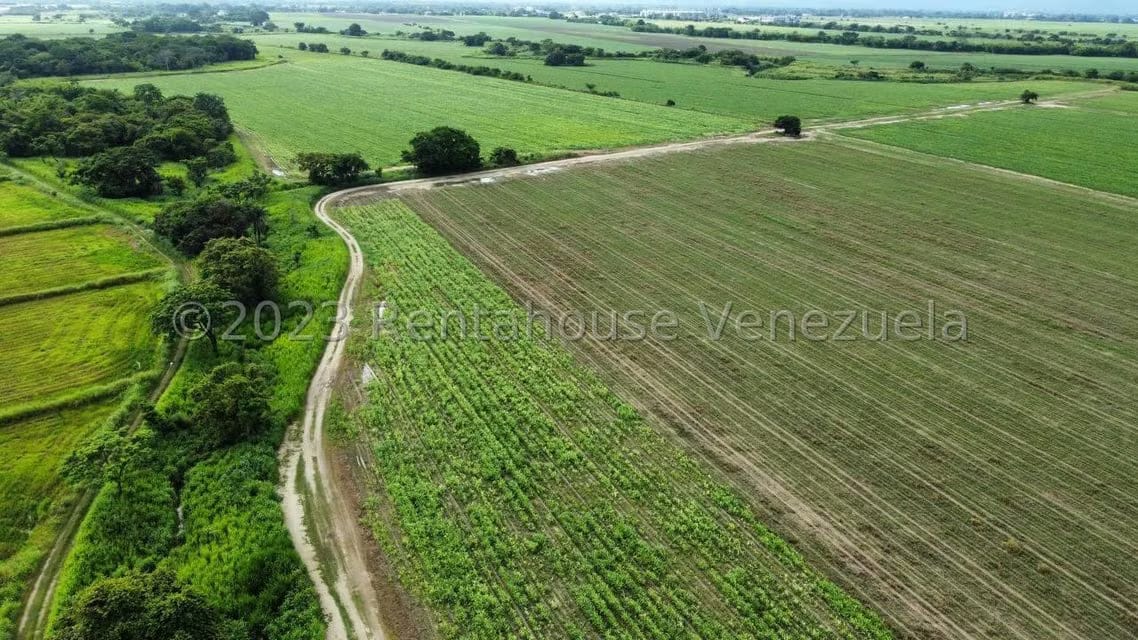 Terreno (Finca) en Venta en Araure, Portuguesa - 9