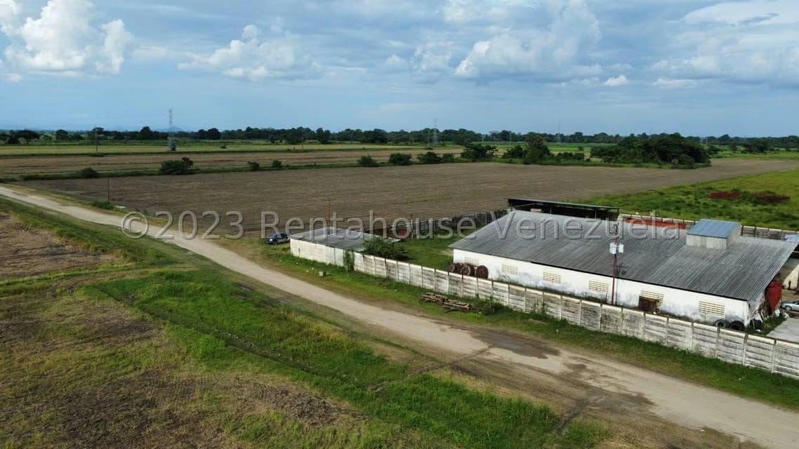 Terreno (Finca) en Venta en Araure, Portuguesa - 10
