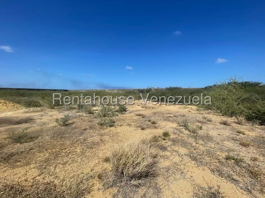 Terreno (Comercial) en Venta en Nuevo Pueblo, Falcon - 7