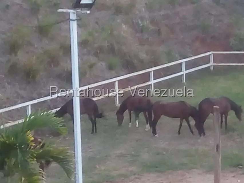 Terreno (Finca) en Venta en Parque Caiza, Distrito Metropolitano - 6
