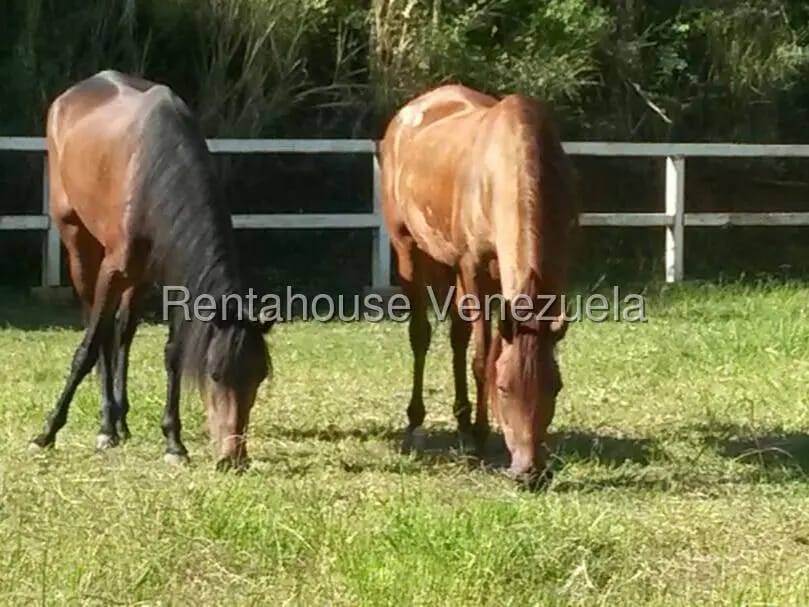 Terreno (Finca) en Venta en Parque Caiza, Distrito Metropolitano - 8