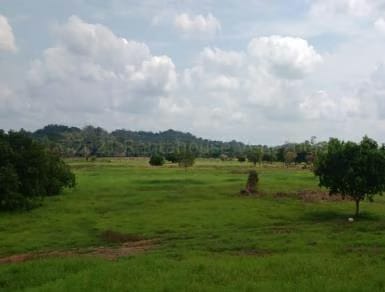 Terreno (Finca) en Venta en Santa Lucia, Miranda - 2