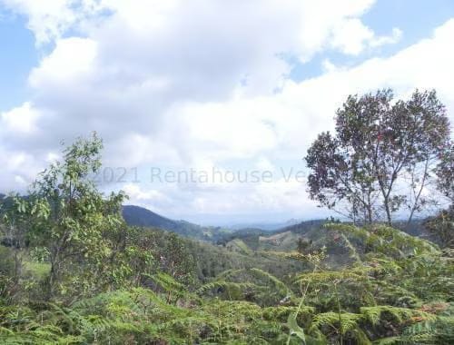Terreno (Finca) en Venta en Santa Lucia, Miranda - 3