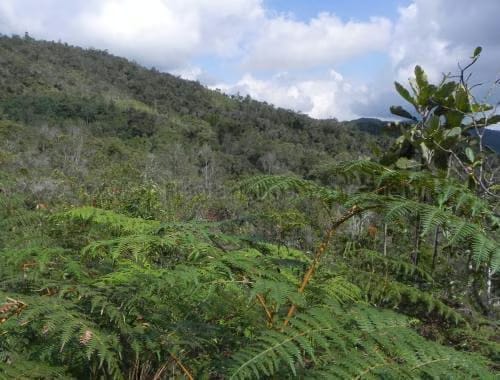 Terreno (Finca) en Venta en Santa Lucia, Miranda - 4