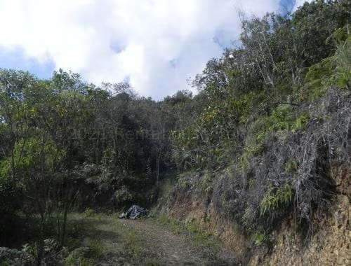 Terreno (Finca) en Venta en Santa Lucia, Miranda - 5