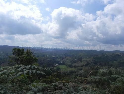 Terreno (Finca) en Venta en Santa Lucia, Miranda - 7