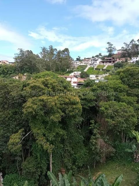 Casa (Multipes Niveles) en Venta en Pan de Azucar, Miranda - 44