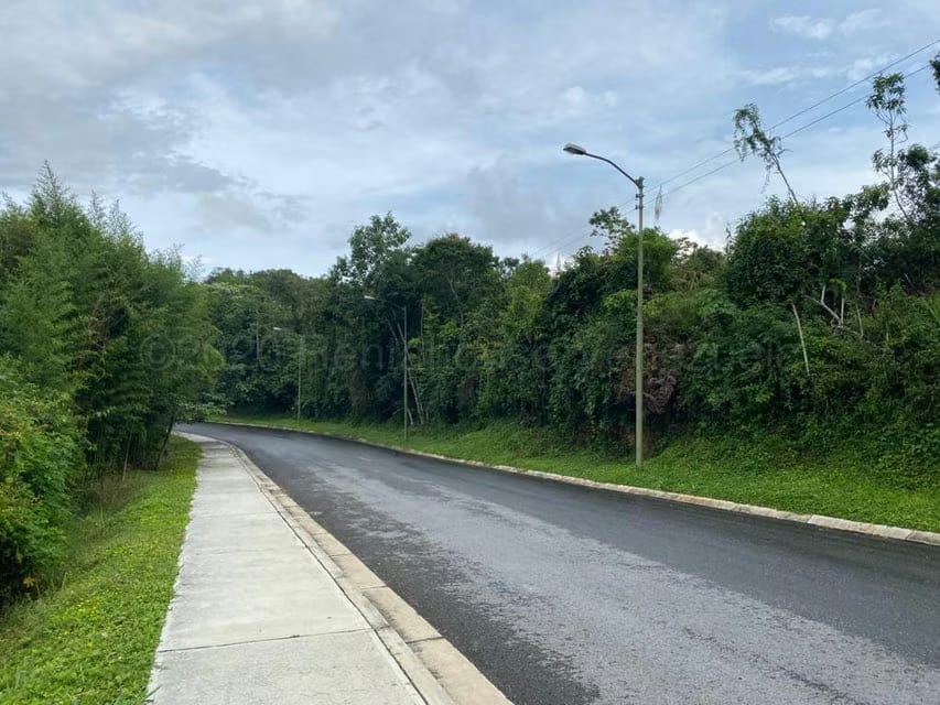 Terreno (Comercial) en Venta en Alto Hatillo, Distrito Metropolitano - 5