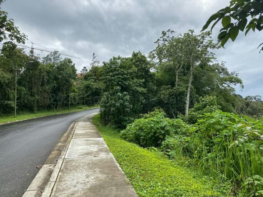 Terreno (Comercial) en Venta en Alto Hatillo, Distrito Metropolitano - 6