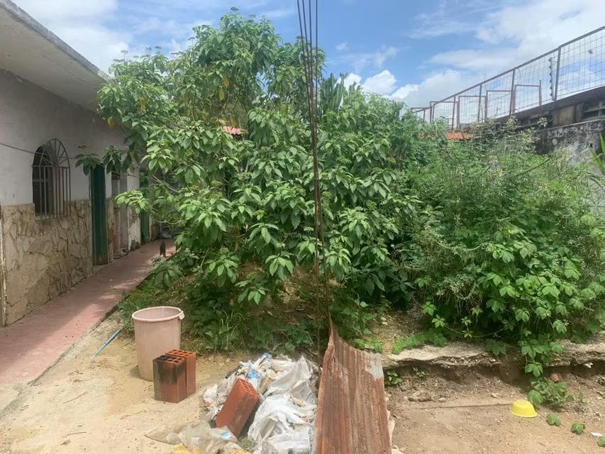 Comercial (Local Comercial) en Venta en La Riberena, Lara - 10