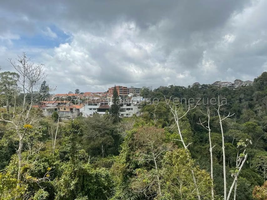 Casa (1 Nivel) en Venta en Parque el Retiro, Miranda - 61