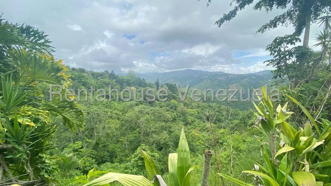 Casa (1 Nivel) en Venta en Sabaneta, Distrito Metropolitano - 4