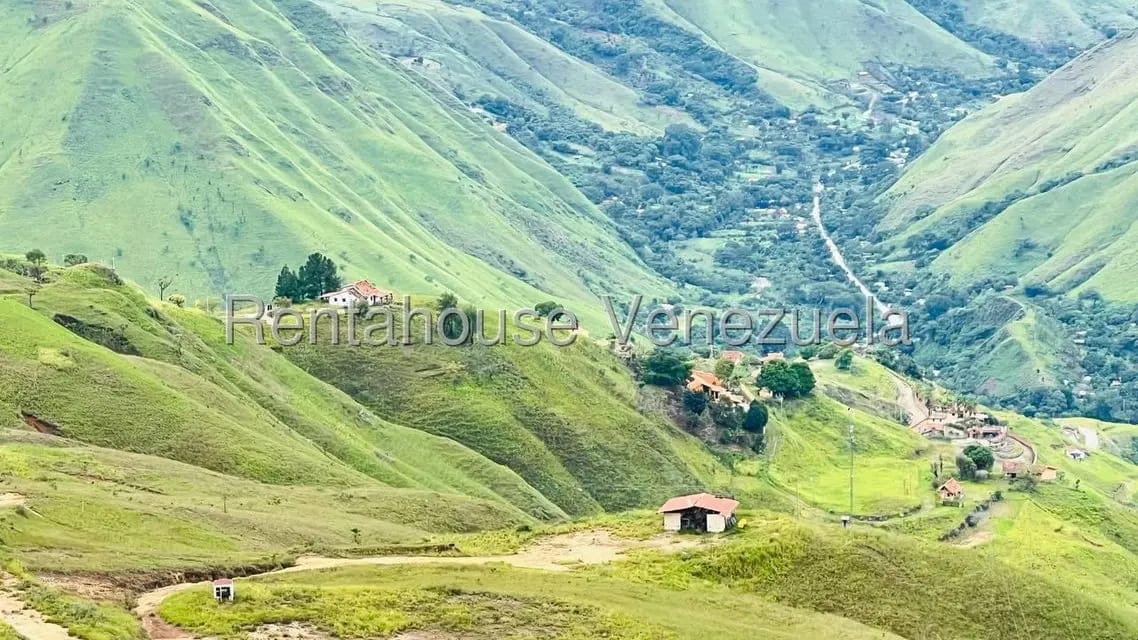 Terreno (Finca) en Venta en La Colonia Tovar, Aragua - 14
