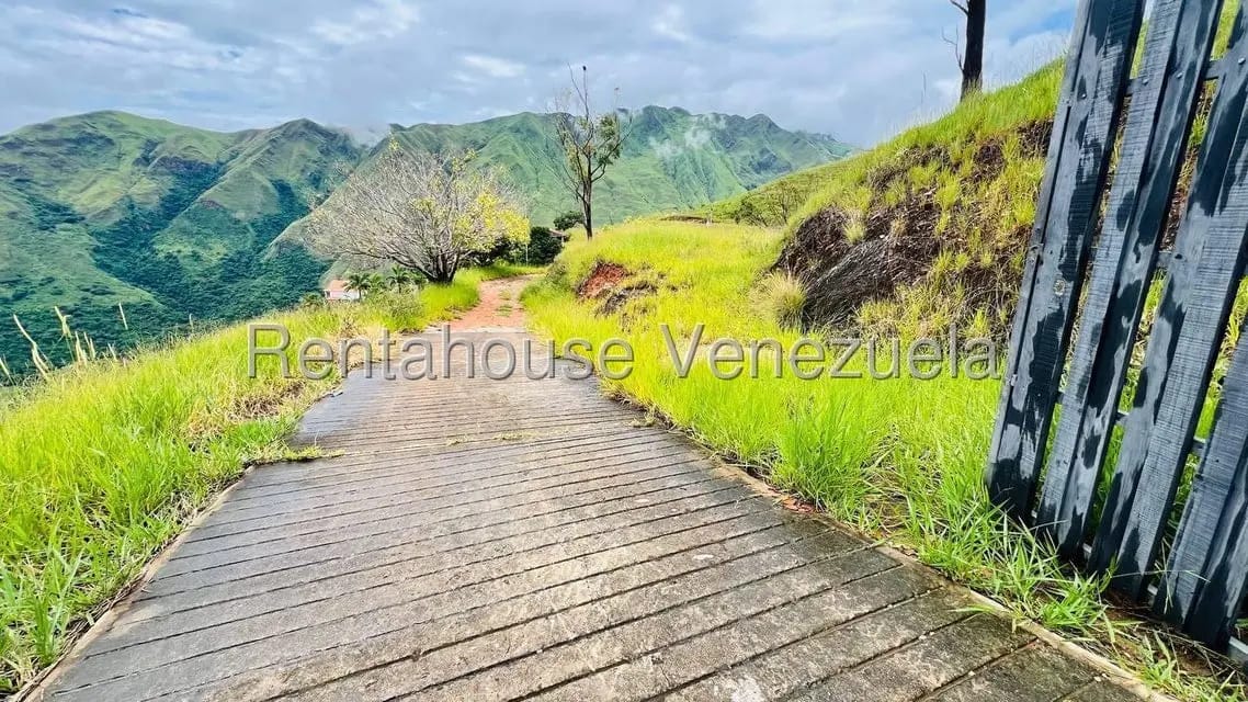 Terreno (Finca) en Venta en La Colonia Tovar, Aragua - 16