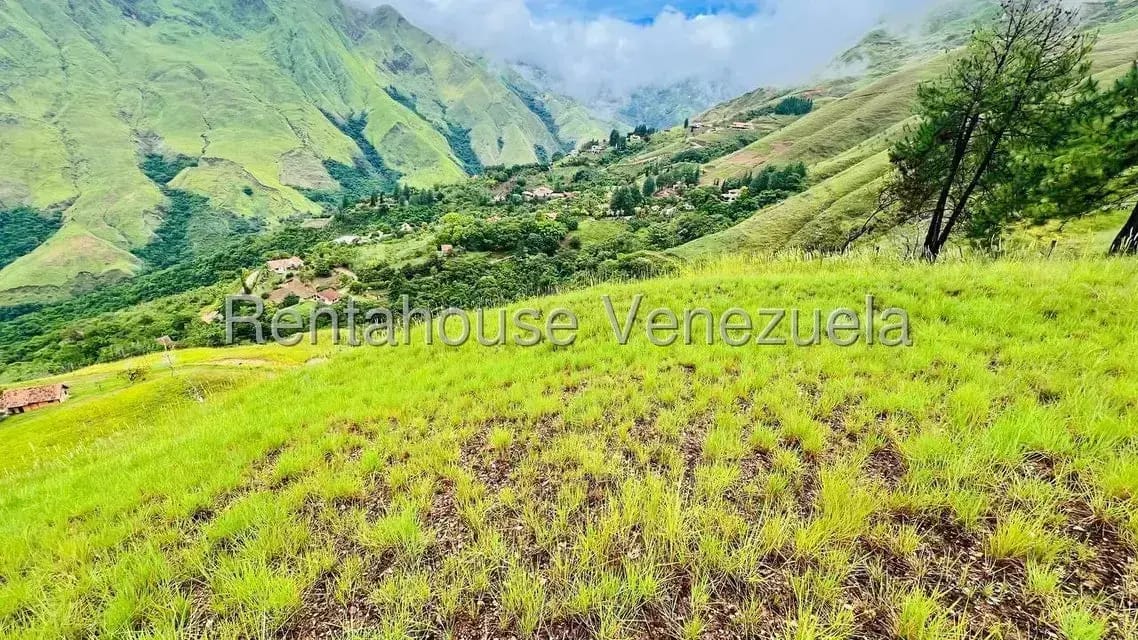 Terreno (Finca) en Venta en La Colonia Tovar, Aragua - 17