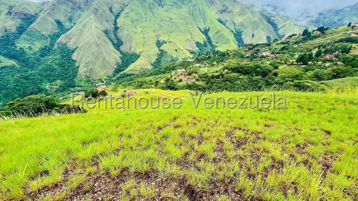 Terreno (Finca) en Venta en La Colonia Tovar, Aragua - 19