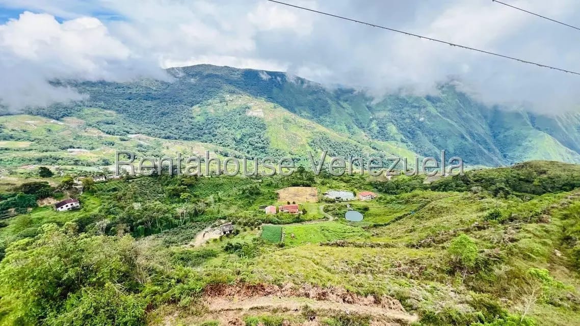 Terreno (Finca) en Venta en La Colonia Tovar, Aragua - 24