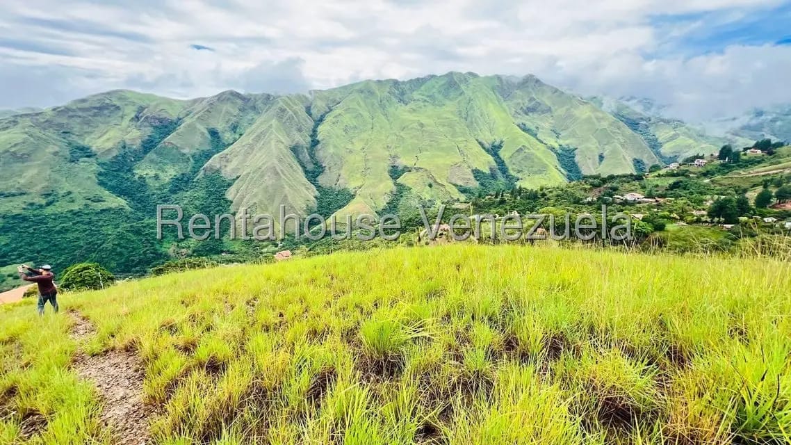 Terreno (Finca) en Venta en La Colonia Tovar, Aragua - 26