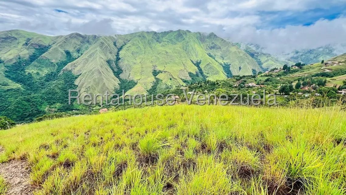 Terreno (Finca) en Venta en La Colonia Tovar, Aragua - 27