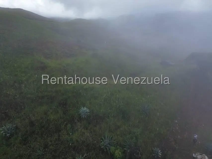 Terreno (Finca) en Venta en La Colonia Tovar, Aragua - 29