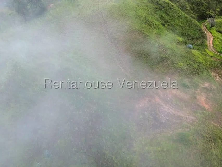 Terreno (Finca) en Venta en La Colonia Tovar, Aragua - 6