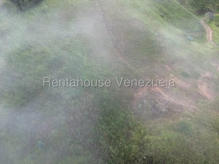 Terreno (Finca) en Venta en La Colonia Tovar, Aragua - 7
