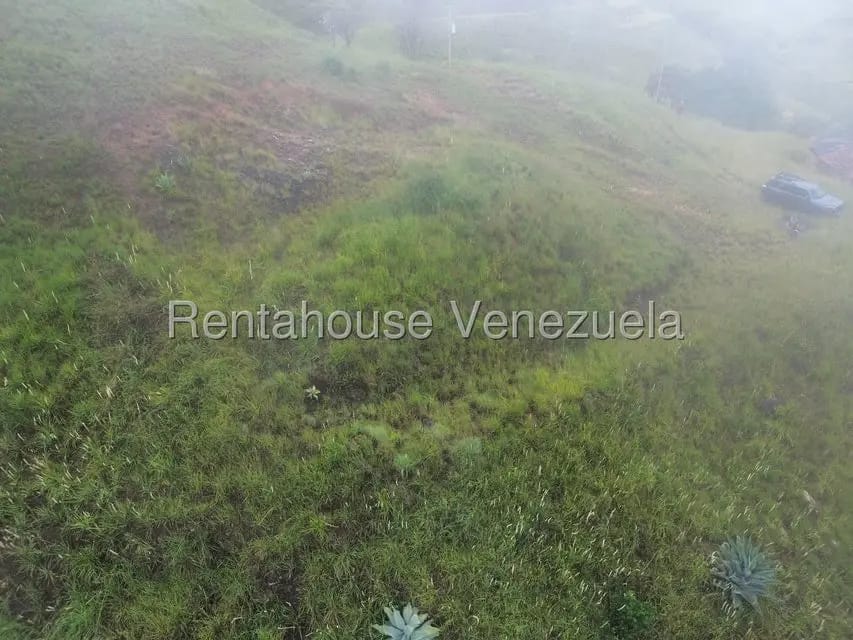 Terreno (Finca) en Venta en La Colonia Tovar, Aragua - 9