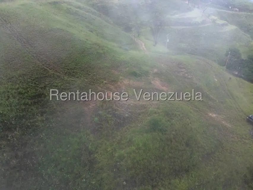 Terreno (Finca) en Venta en La Colonia Tovar, Aragua - 10
