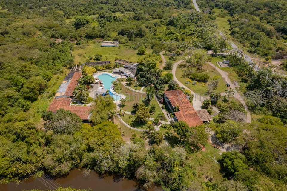 Comercial (Local Comercial) en Venta en El Guapo, Miranda - 29