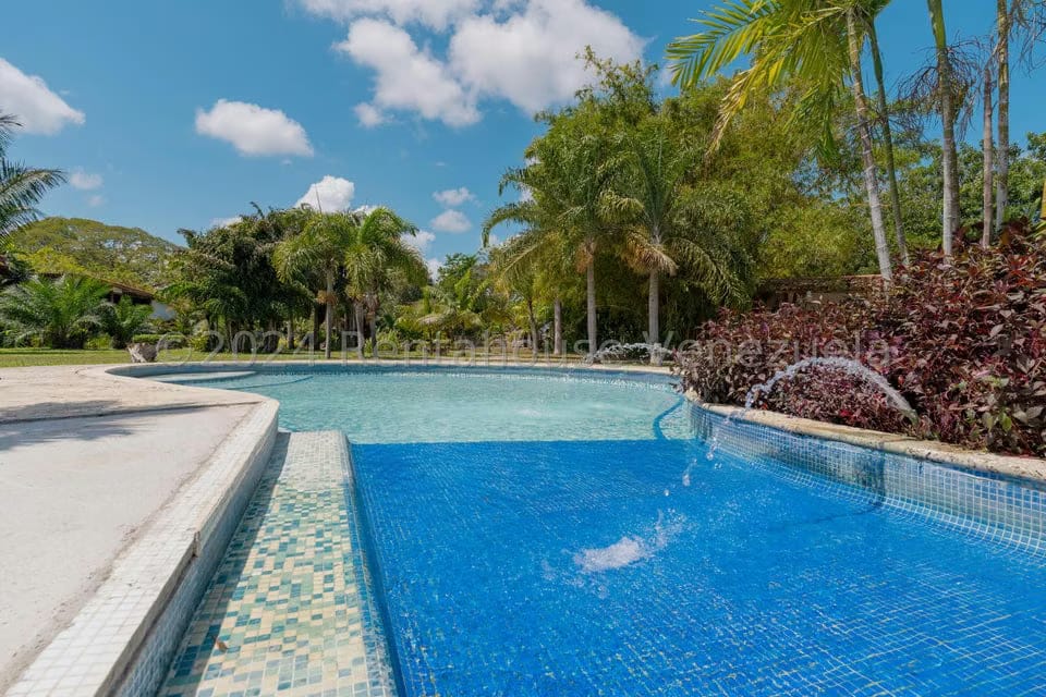 Comercial (Local Comercial) en Venta en El Guapo, Miranda - 75