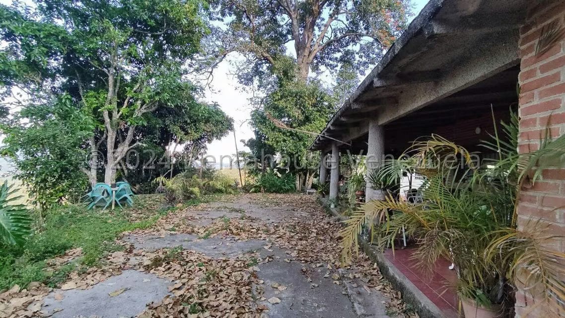 Casa (1 Nivel) en Venta en La Suiza, Miranda - 6