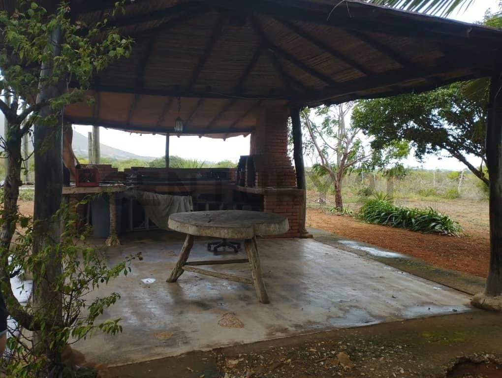 Terreno Agrícola con Casa ARICAGUA MARGARITA - 16