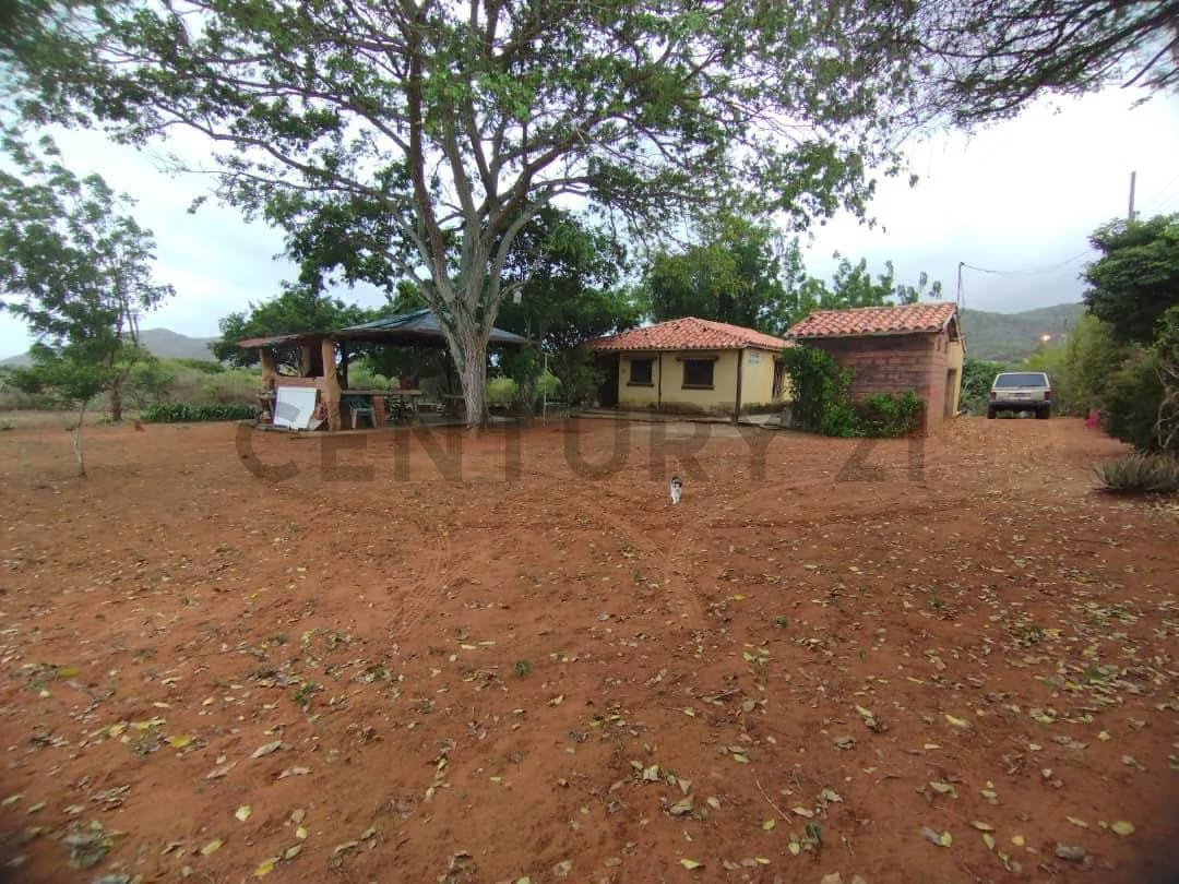 Terreno Agrícola con Casa ARICAGUA MARGARITA - 27