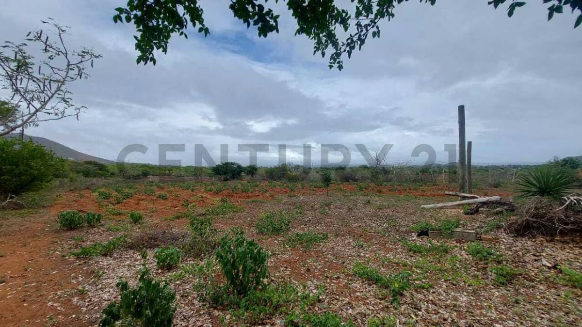 Terreno Agrícola con Casa ARICAGUA MARGARITA - 28